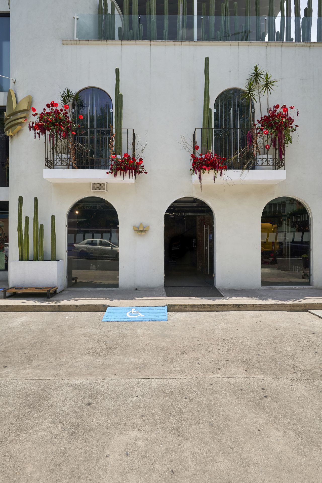 Adidas Willy Chavarría