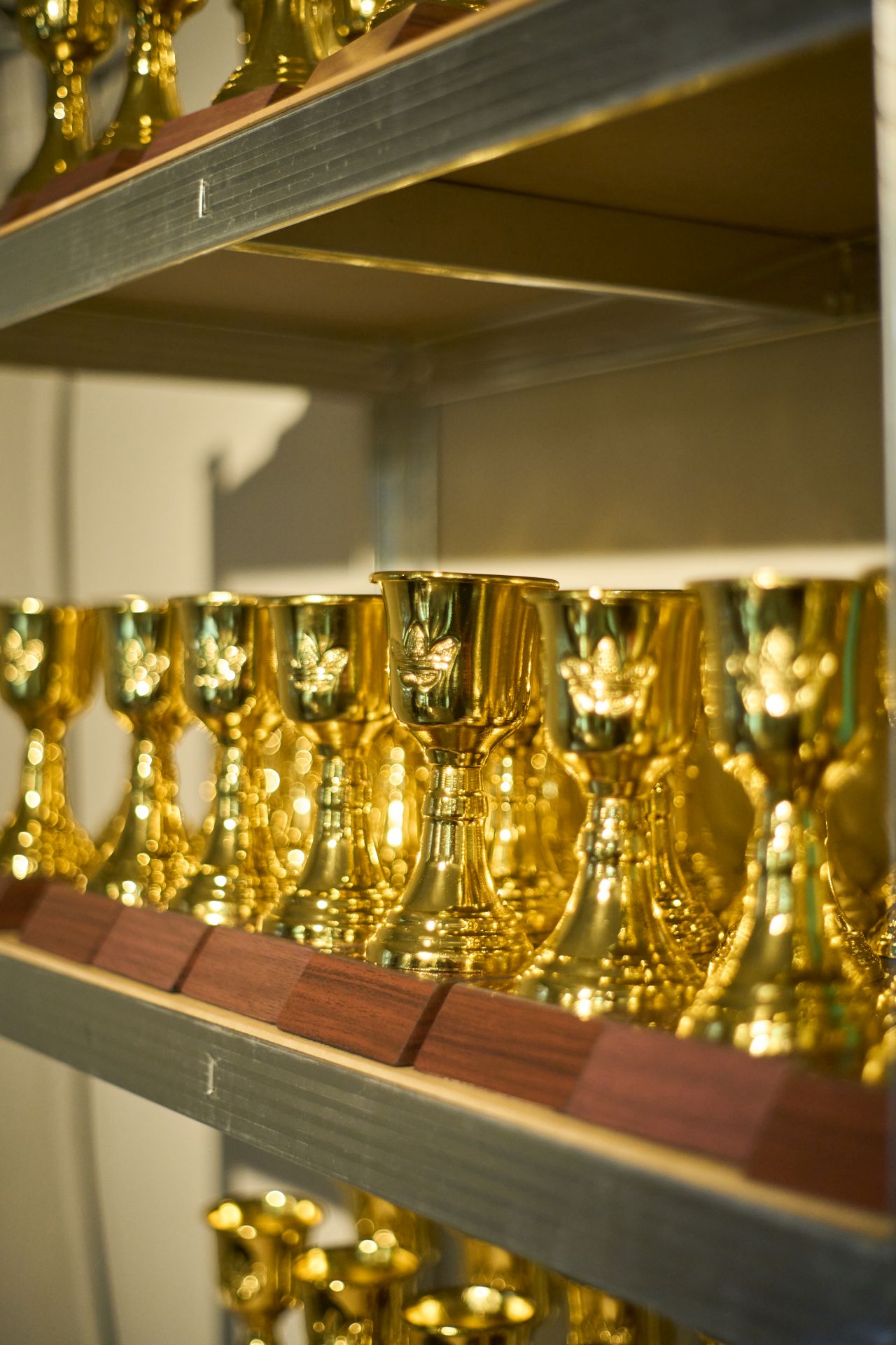 Adidas x Tony Delfino