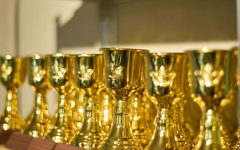 Adidas x Tony Delfino