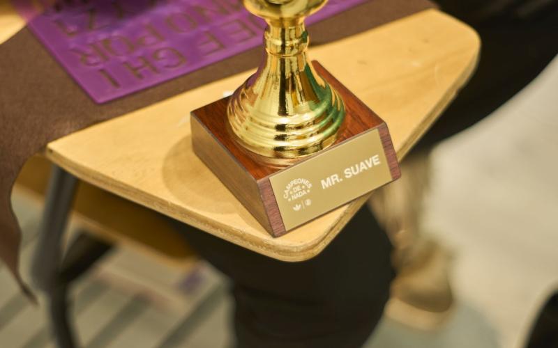 Adidas x Tony Delfino